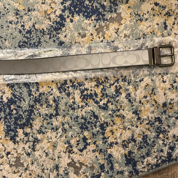 Silver Coach Belt - Picture 1 of 1